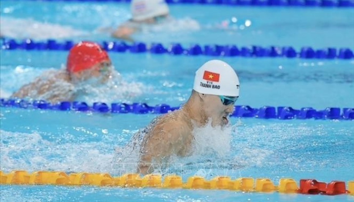 ทีมว่ายน้ำเวียดนามตอกย้ำความยิ่งใหญ่บนสระน้ำ คว้าทองต่อเนื่อง SEA Games 33